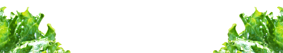 s1