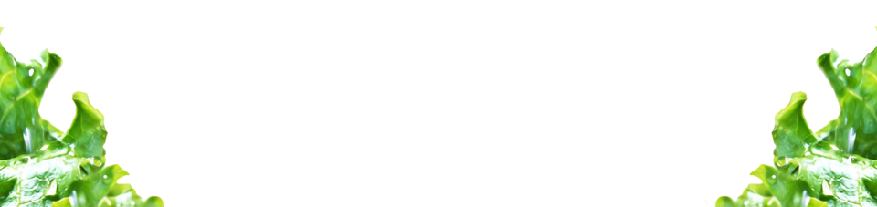 s1